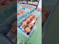 IP66 Rated Self Locking Dual Axis Slew Drive